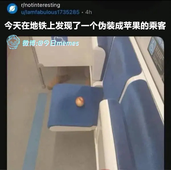 会装（u/Iamfabulous1735285）今日meme今日memes