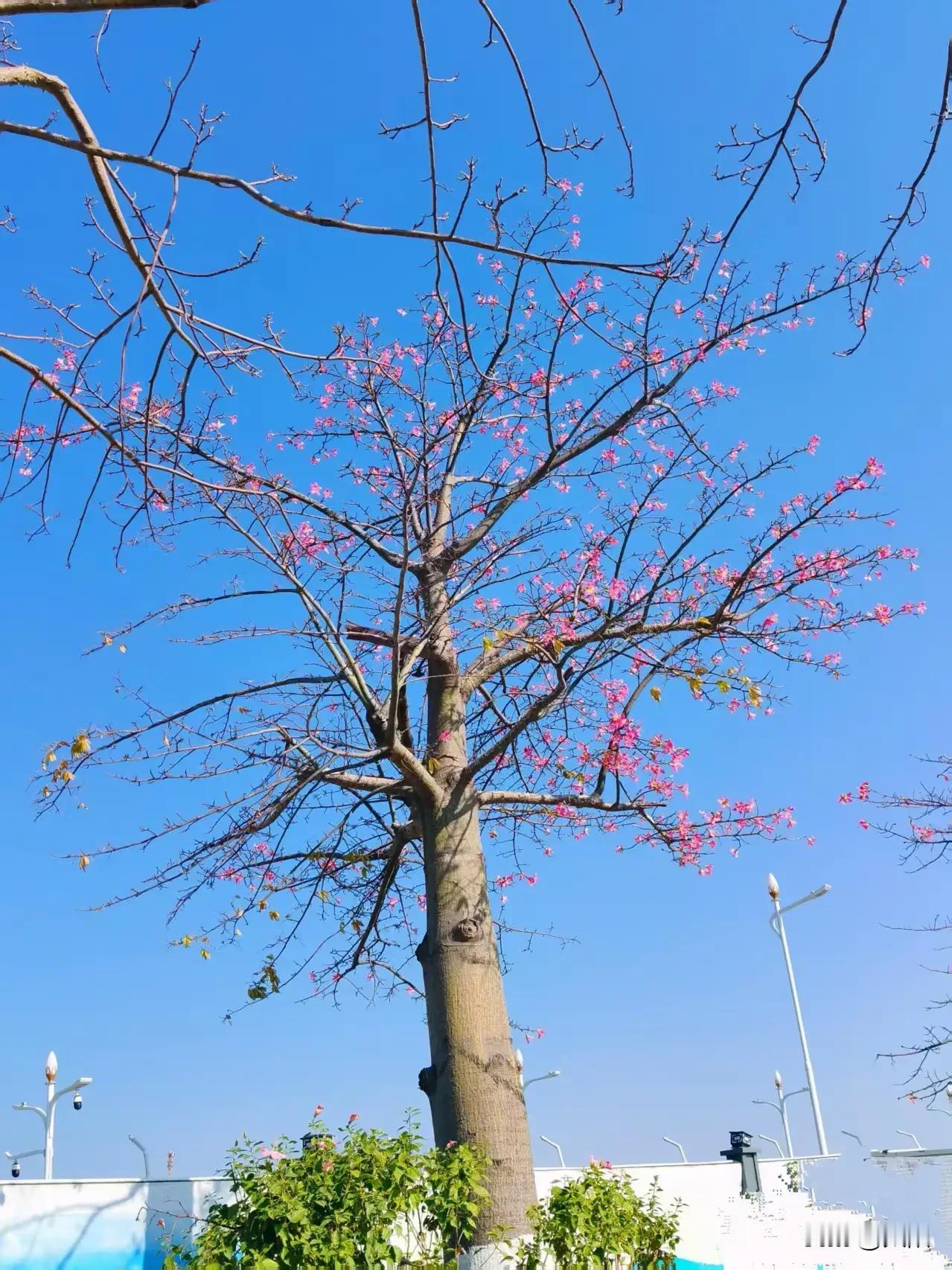 女人开始衰老的九个信号，句句扎心又真实不知道你有没有发现，女人的衰老从来不