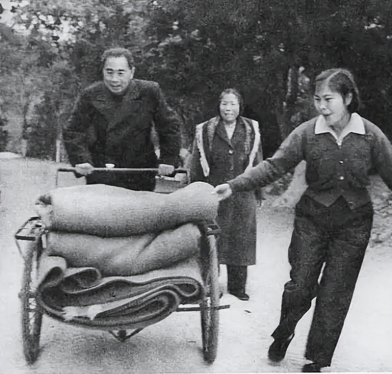 1959年，周总理在广州从化温泉陪邓颖超散步时，看到一名女工吃力地蹬着载满毛毯的