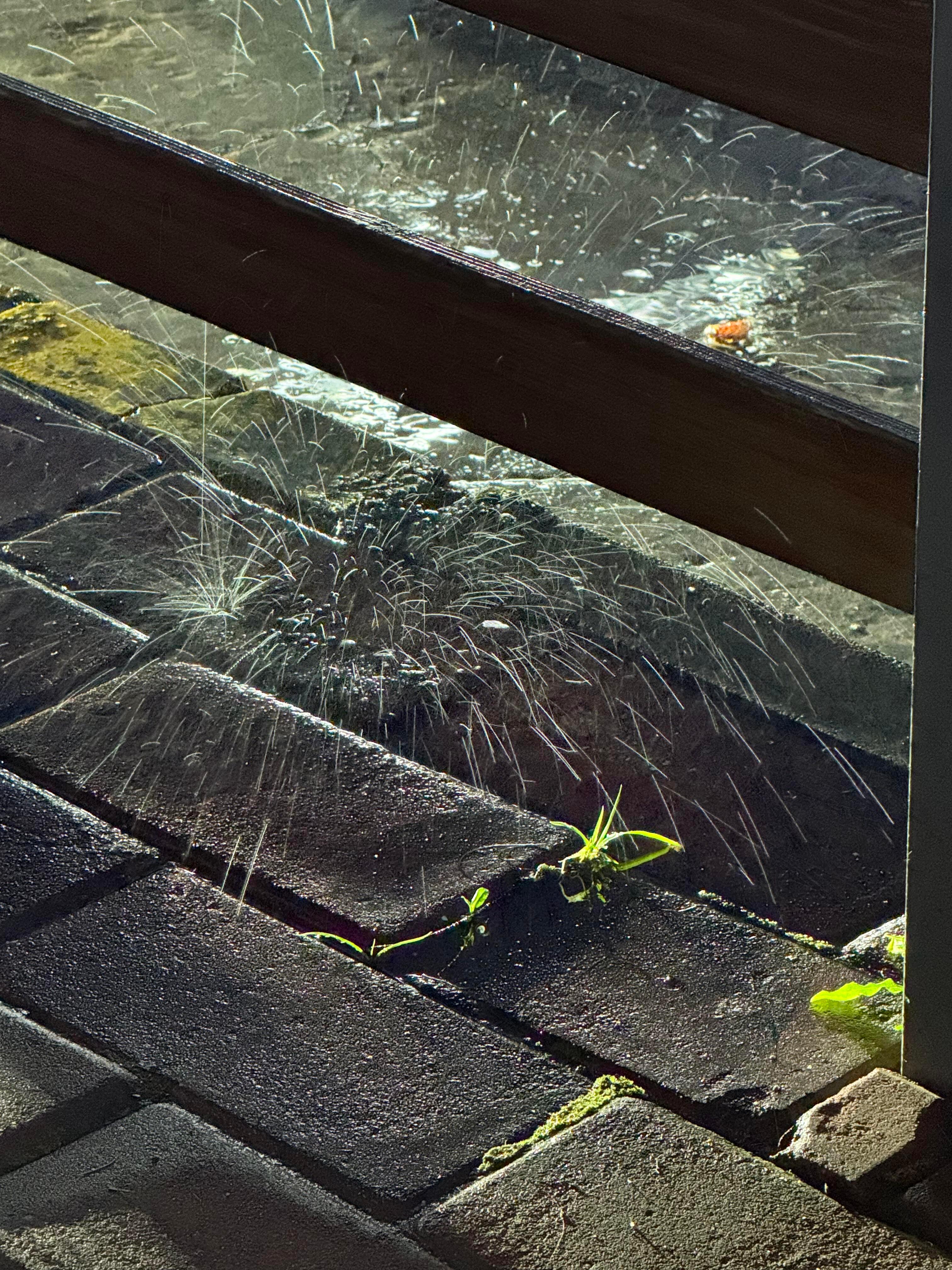 雨是神的烟花​​​