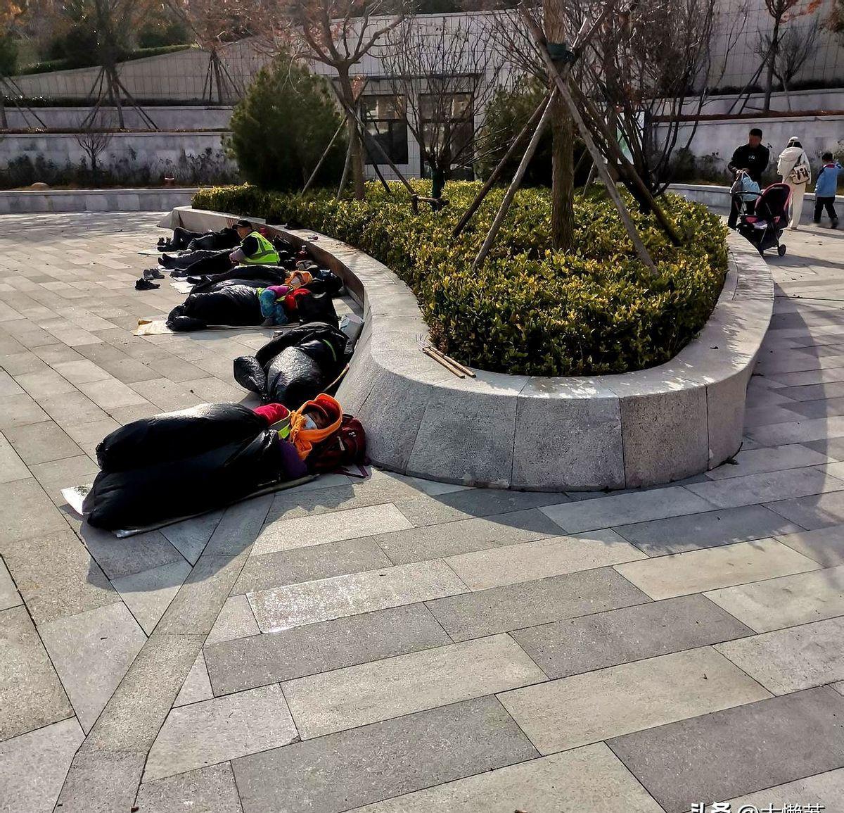 今天中午去浮山森林公园，在山东头路入口看到了一群人躺在地上午睡。约有8人，年龄