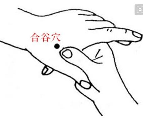 呼吸锻炼合谷穴(本内容基于个人观点，由AI辅助生成)。合谷穴又称虎口，位于