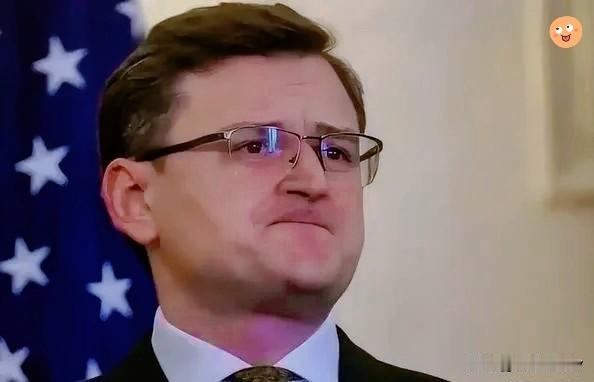 乌克兰，终于有人，敢说实话了！乌克兰前外长库列巴曾公开承认：冲突结束后，乌克兰，