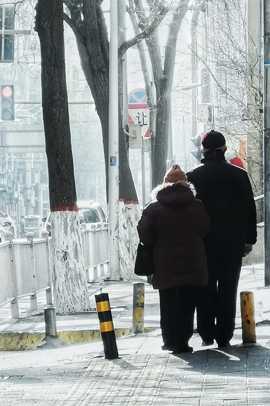 行动不便了，老了，谁能靠得住？1、孙子，2%2、孙女，1%3、兄弟，0.5