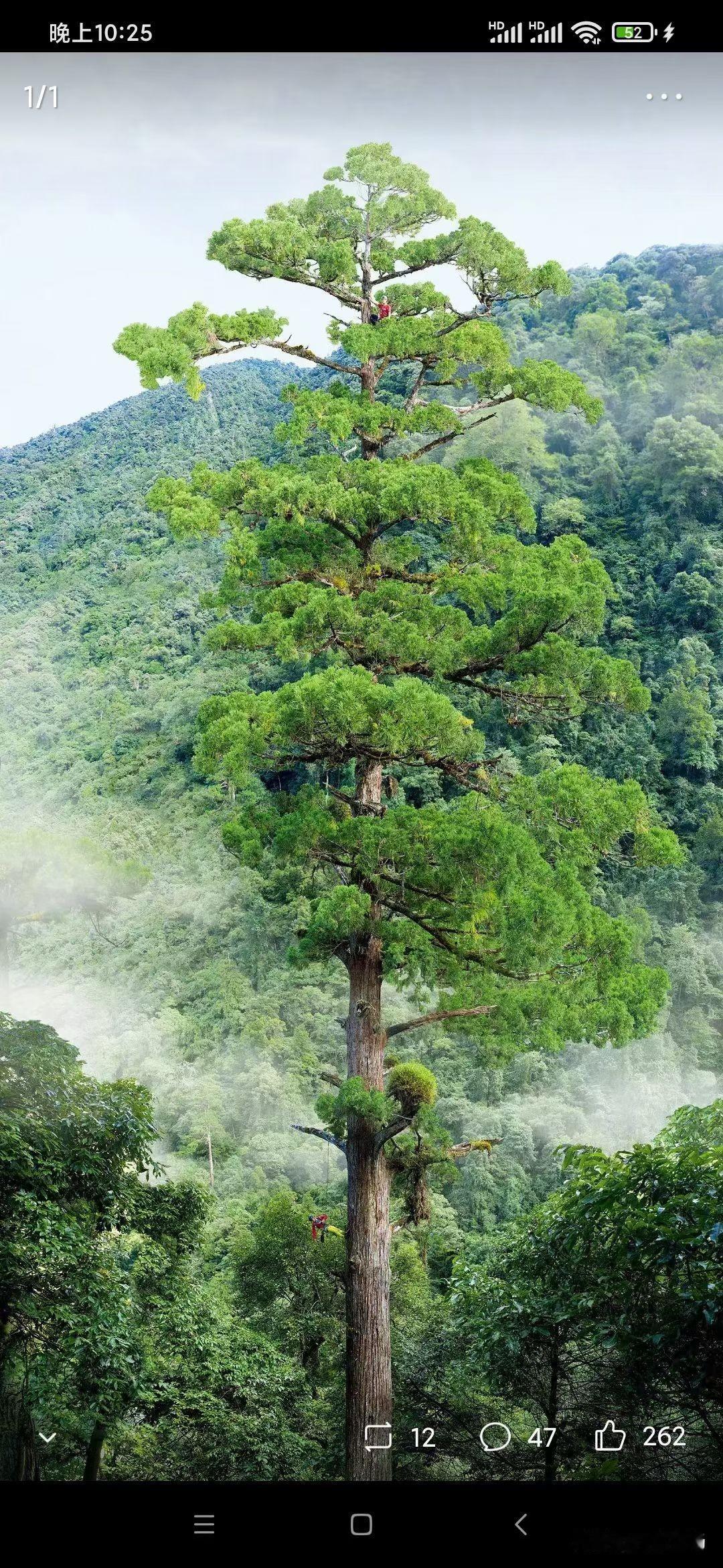 如今，朋友圈虽然发得少了，但该见的朋友，一个都没落下；短视频虽然热闹，但认真做内