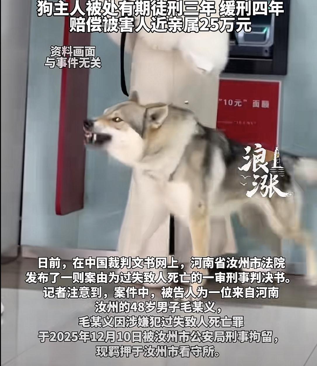 “人怎么可以这么大意”！河南汝州，一48岁男子，在自家开放式窑洞内，饲养烈性捷克