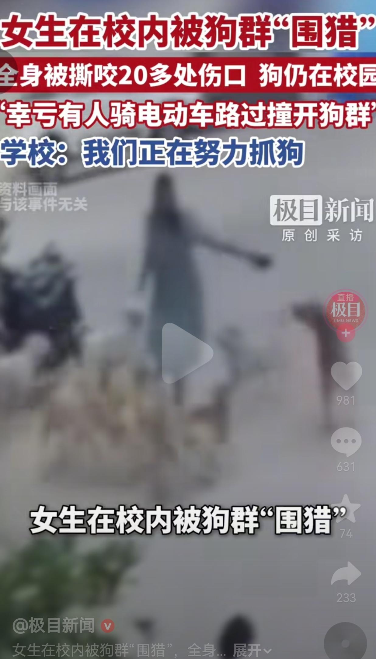 平顶山学院女生深夜回寝被狗群咬伤，全身多处伤口令人心疼！事发在河南平顶山学
