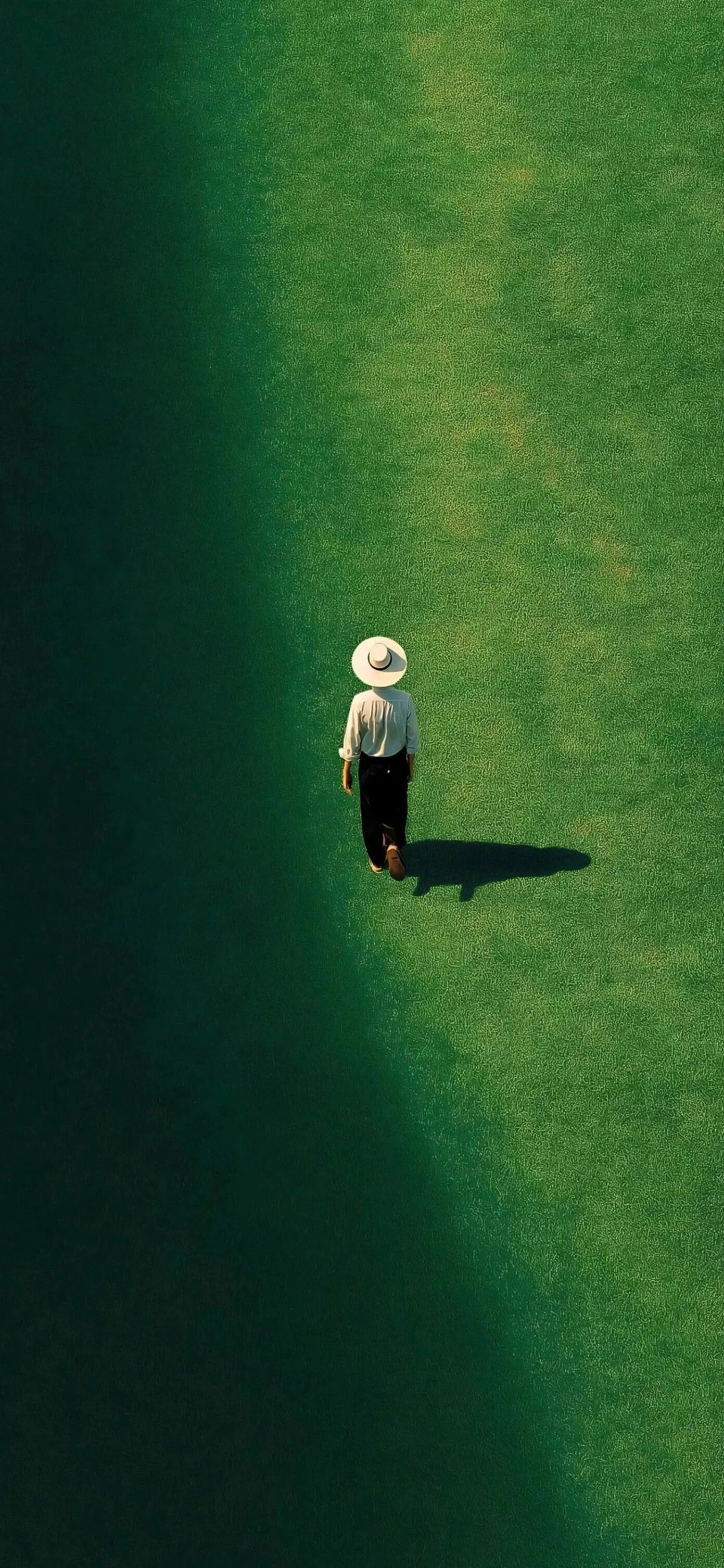 𝓢𝓱𝓪𝓻𝓮｜超清8k无水印壁纸｜氛围感专栏·精选壁纸分享