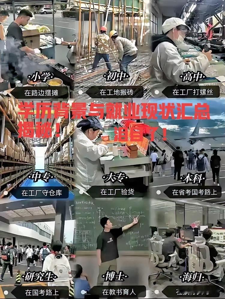 看完泪目了，太具象化了！9种学历背景的就业现状汇总揭秘！天生我才必有用，千金散尽