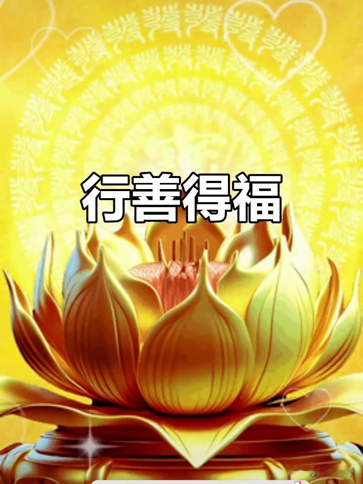你的善良，人不知，天知。到最后都会变成人生路上的惊喜和好运，举头三尺有神明