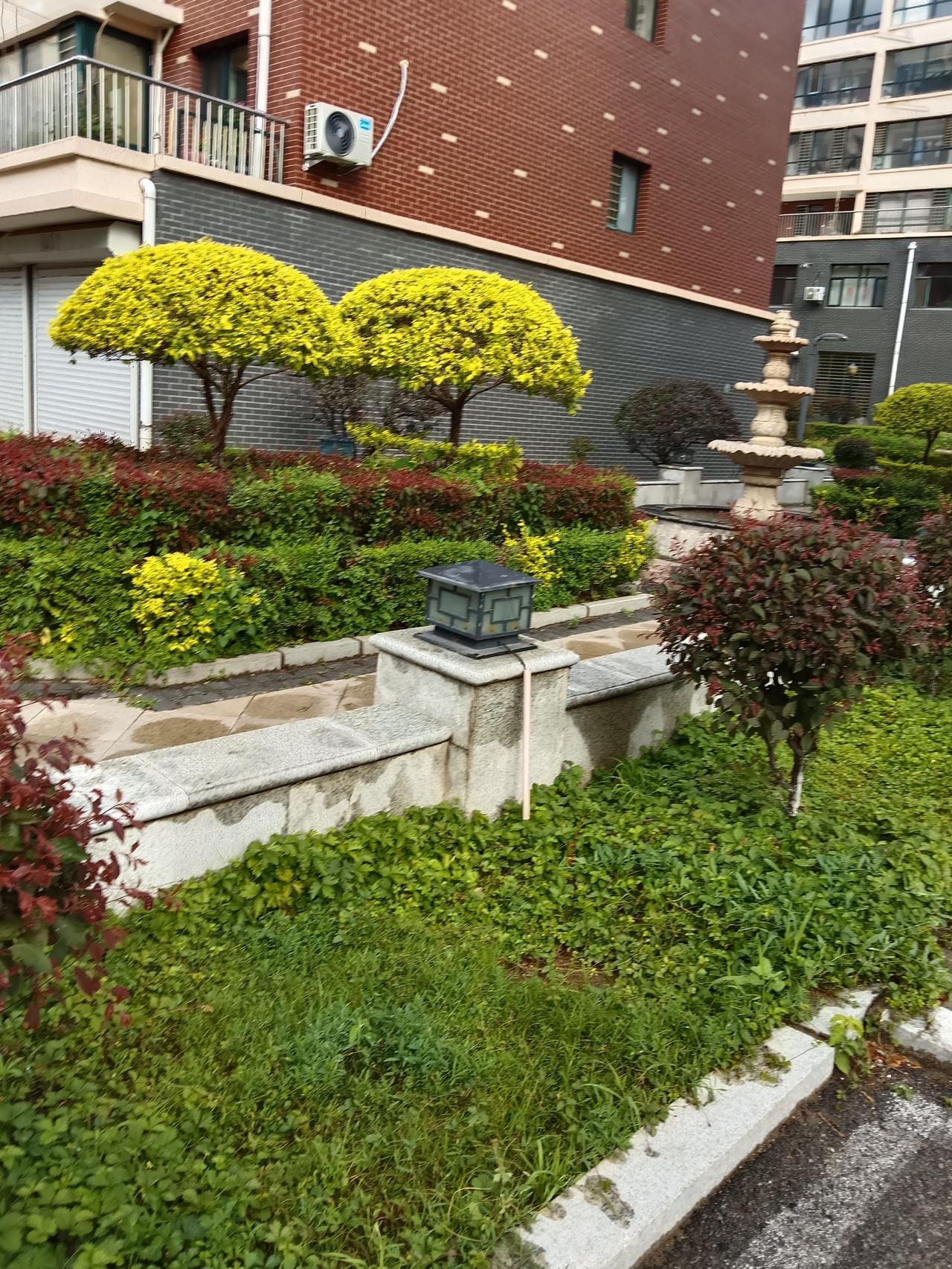 宁静的庭院，绿意盎然，静享自然之美。🌿🏡