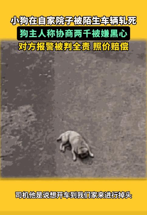 “悲剧还是发生了！”浙江湖州，一司机走错了路，擅自将车开进别人家调头，结果没注意