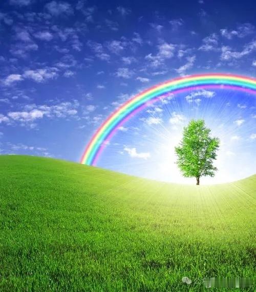 阳不敌阴，人就会水湿重​今人认为水湿，就是喝水吃粥，或者天上下雨造成，就没有人