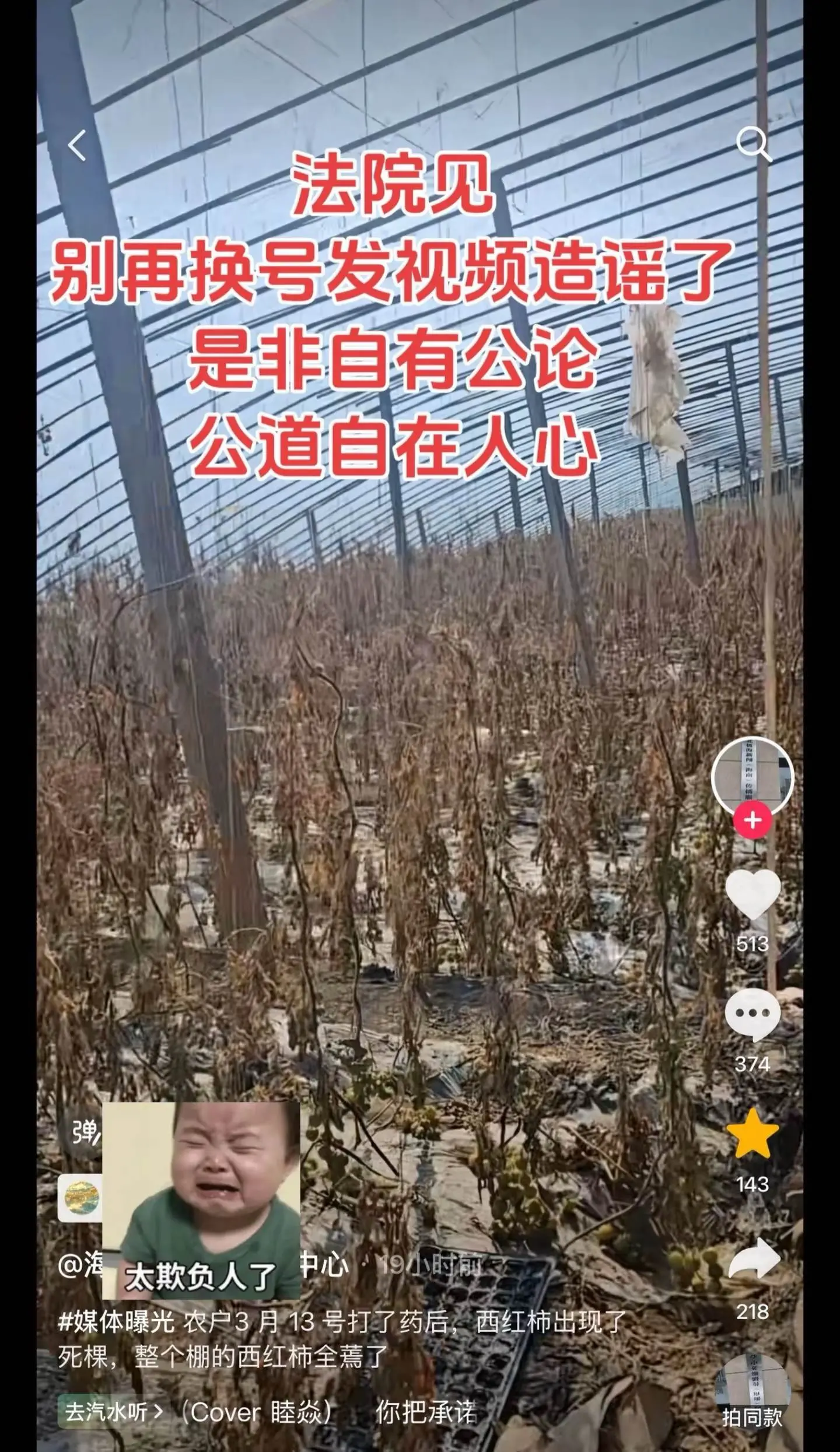 蔬菜种植三农王友福寿光寿光蔬菜