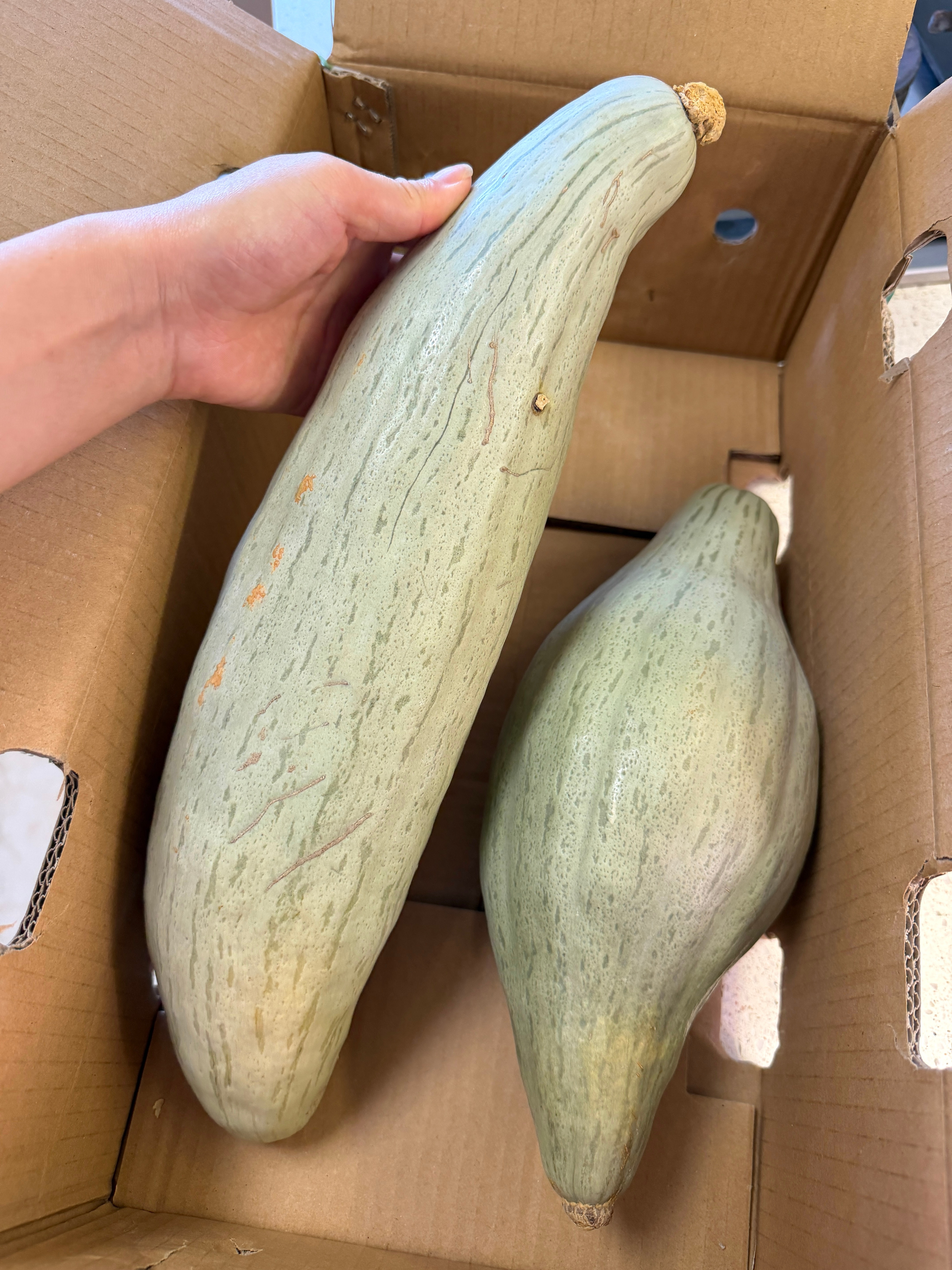 小时候不爱吃这些，长大了全当宝🎃粗粮计划又开新篇章[大笑]：​​​