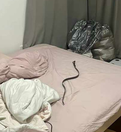 推开卧室门吓一跳