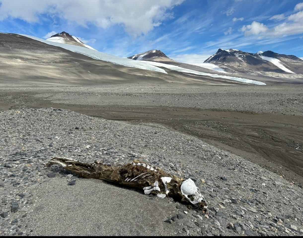 这里200万年没下过一滴雨，年降水量还不到10毫米，而撒哈拉沙漠每年能下25到1
