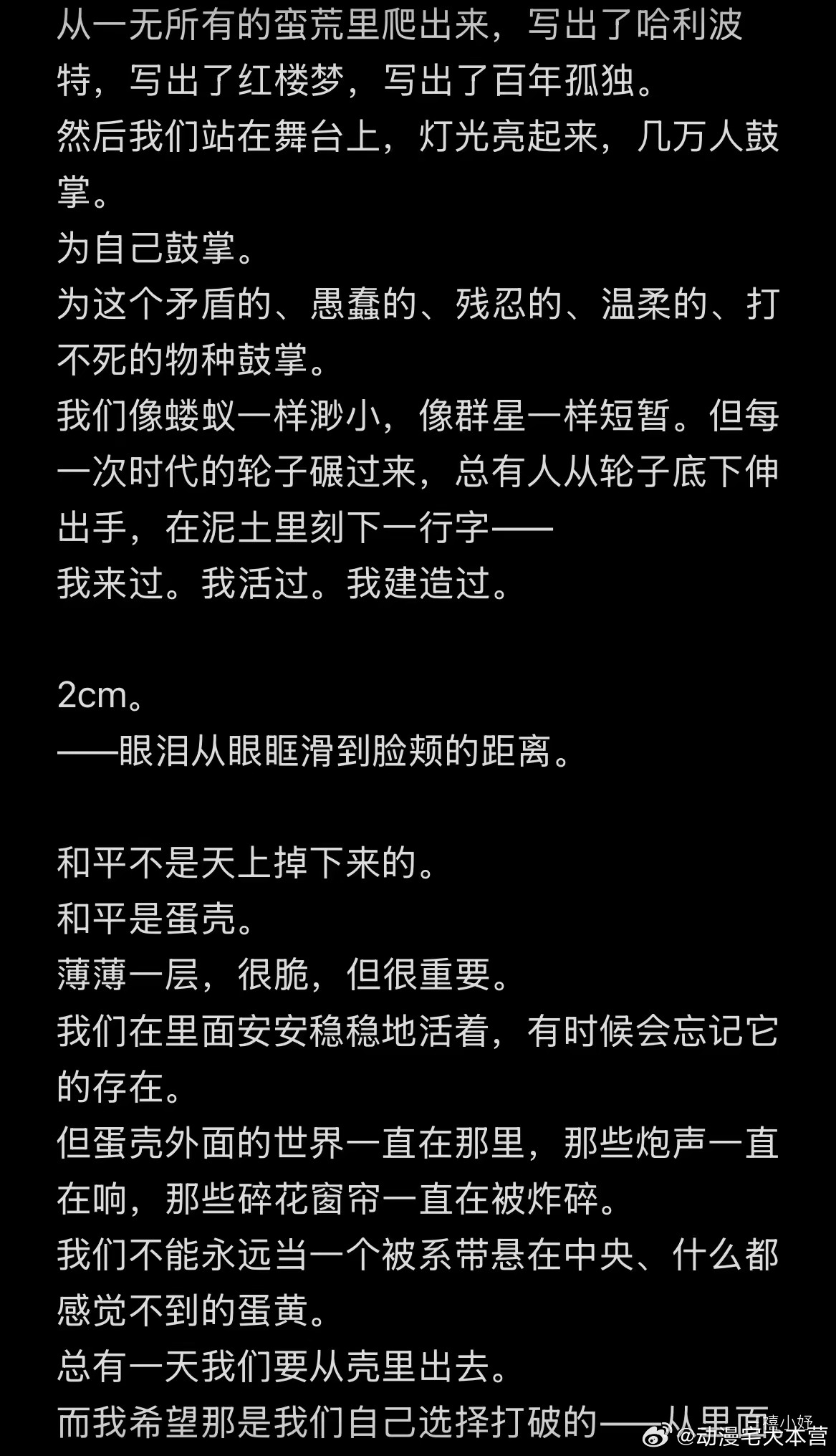 今天最最最震撼我的一篇文章多希望有更多更多人看到愿世界和平再无战争🙏