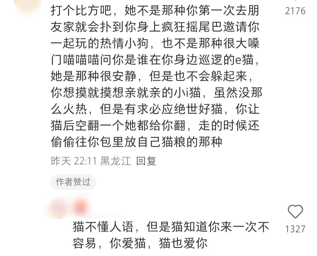 谁家小猫咪来了柠檬迷惑行为大赏​​​