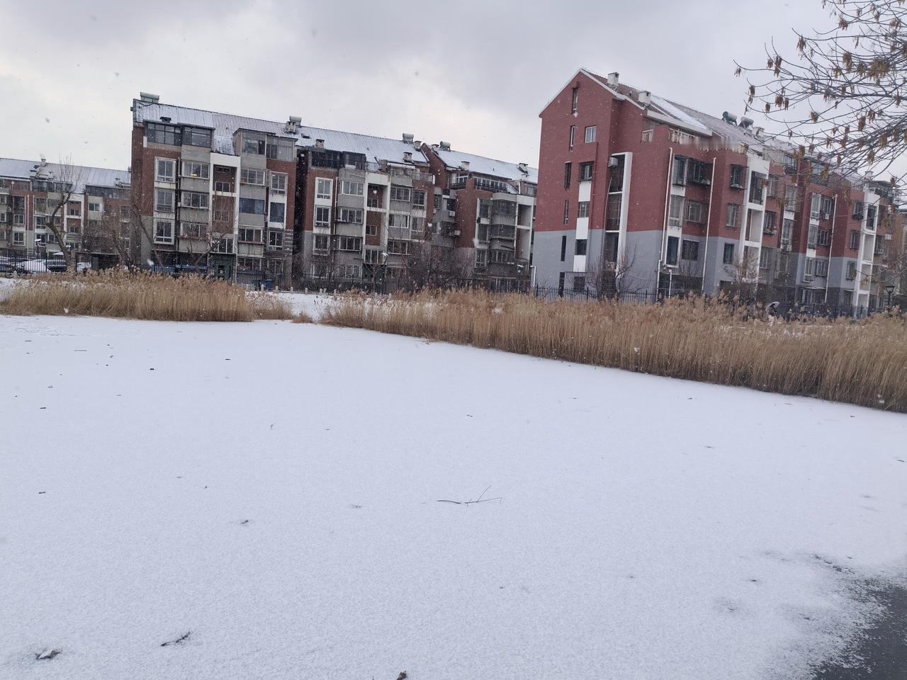 前几天下雪时的湖面