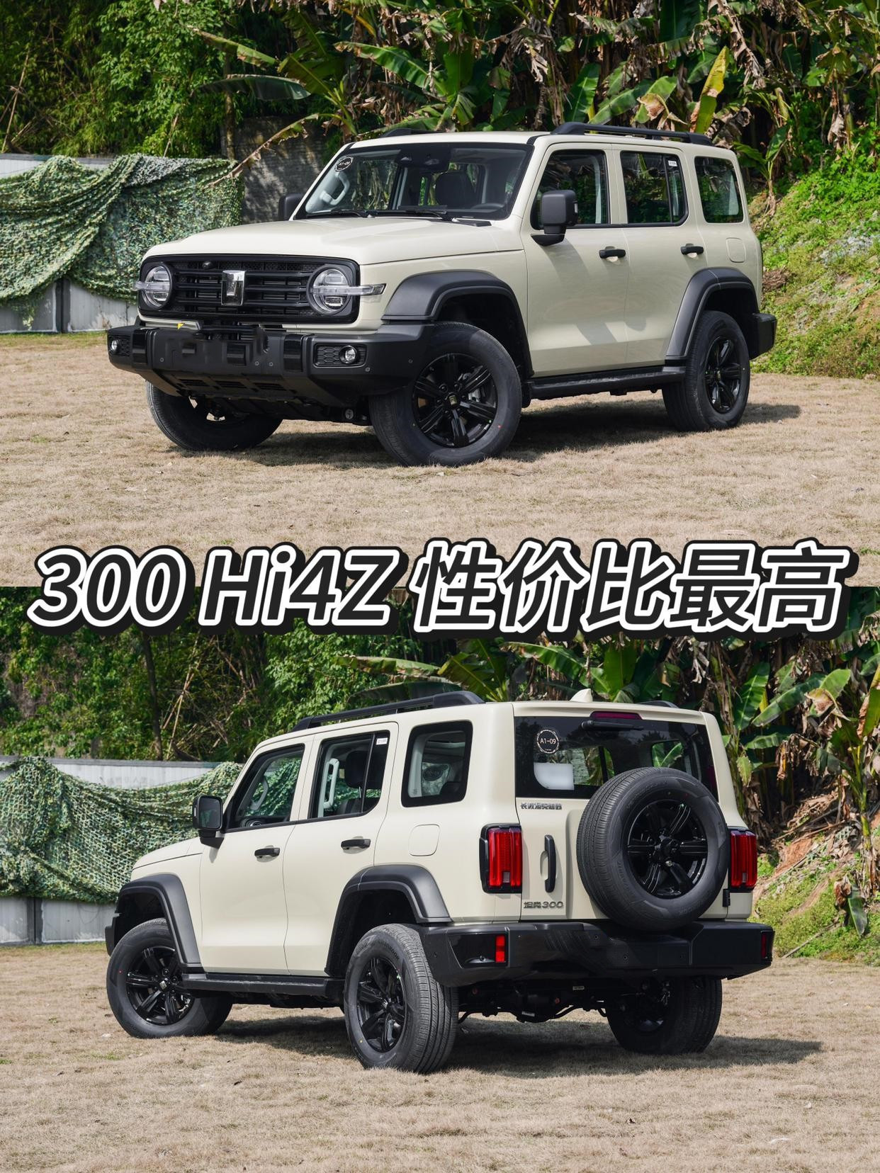 坦克300还是Hi4Z性价比高
