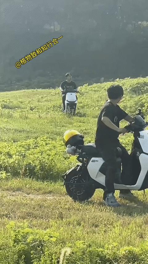 真把你撞飞起来了，你又不乐意了，牛：懒得和小屁孩一般计较，看你装逼看你飞，看你飞