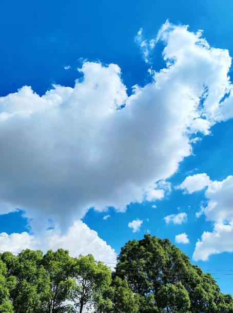 交朋友、处关系，心里得有杆秤。1.尽量别跟那种整天怨天怨地、一身负能量的人走