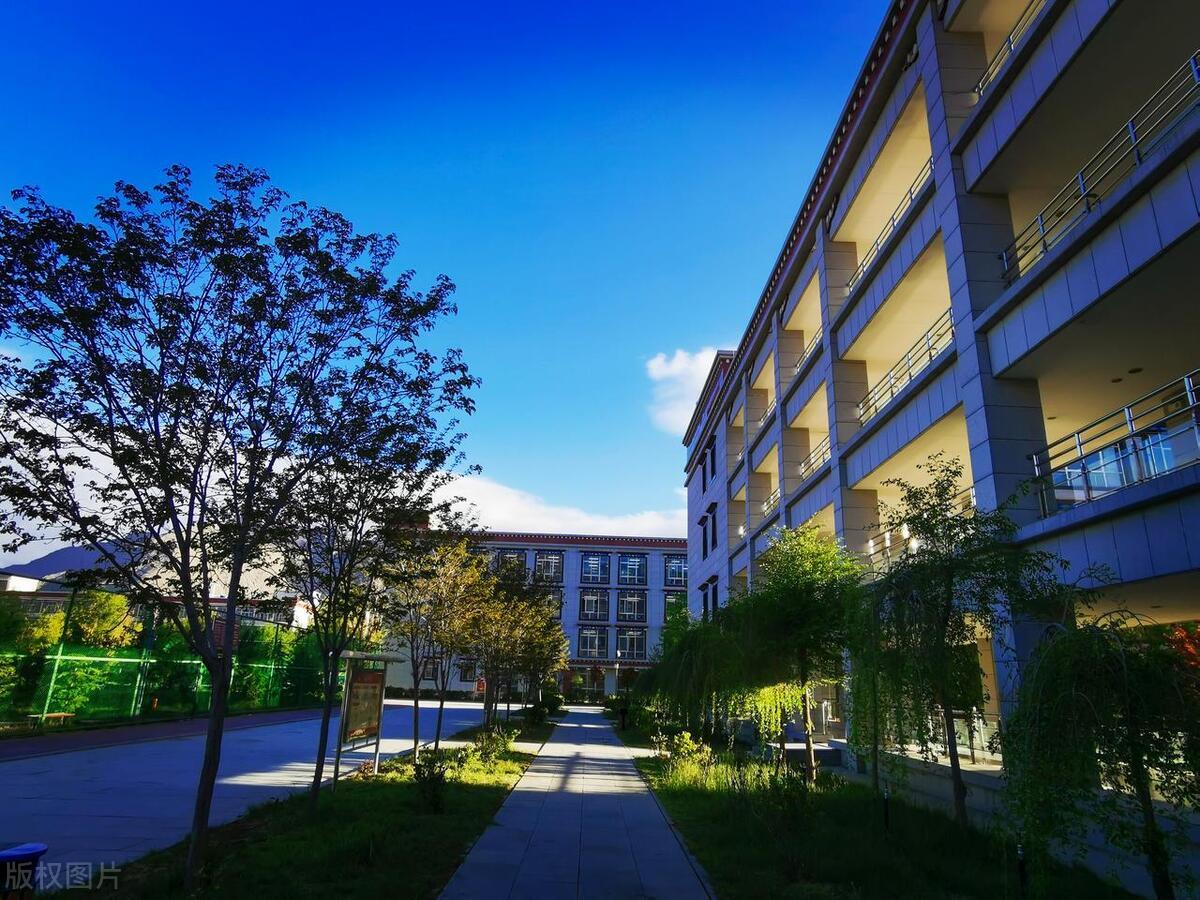 有这样一种校长，疯狂基建，学校成了建筑公司自从这个一把手来到咱们学校，就刮起基