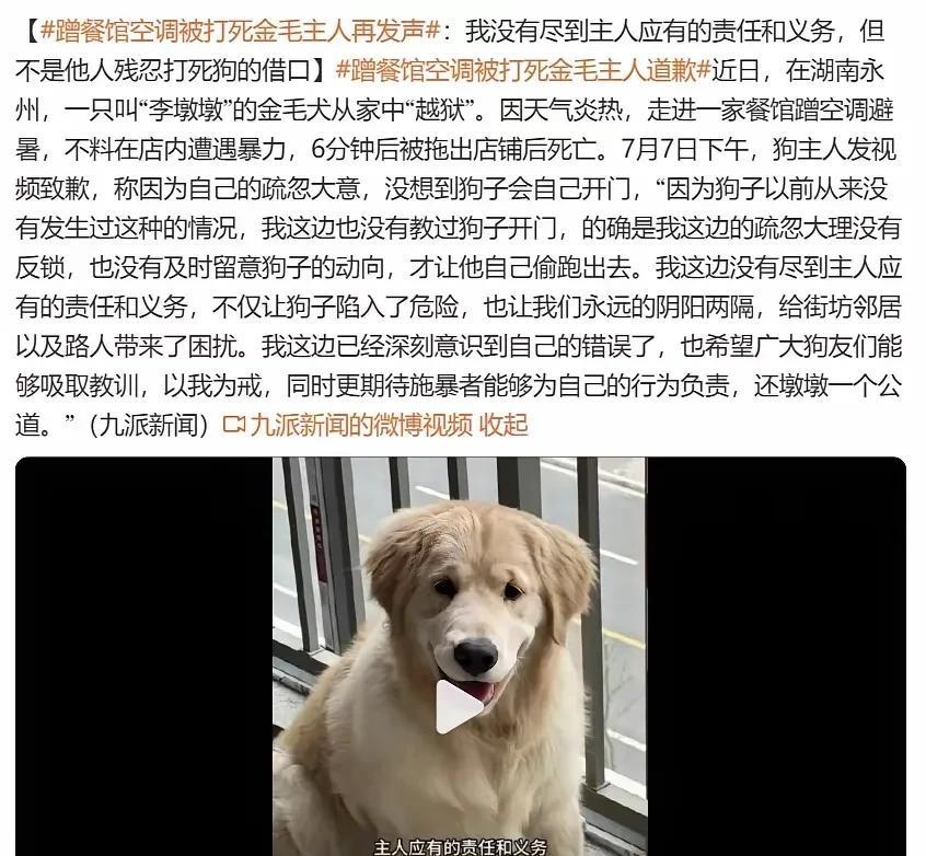 从狗主人的角度来说，自己的宠物被打死确实会觉得难以接受。但站在公众的角度，他们可