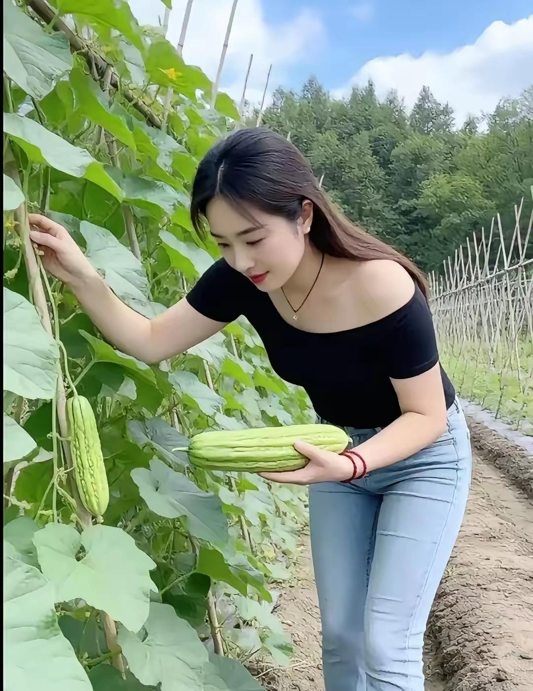 田园少女采摘大冬瓜，收获满满的一天！🌿🍀🍀