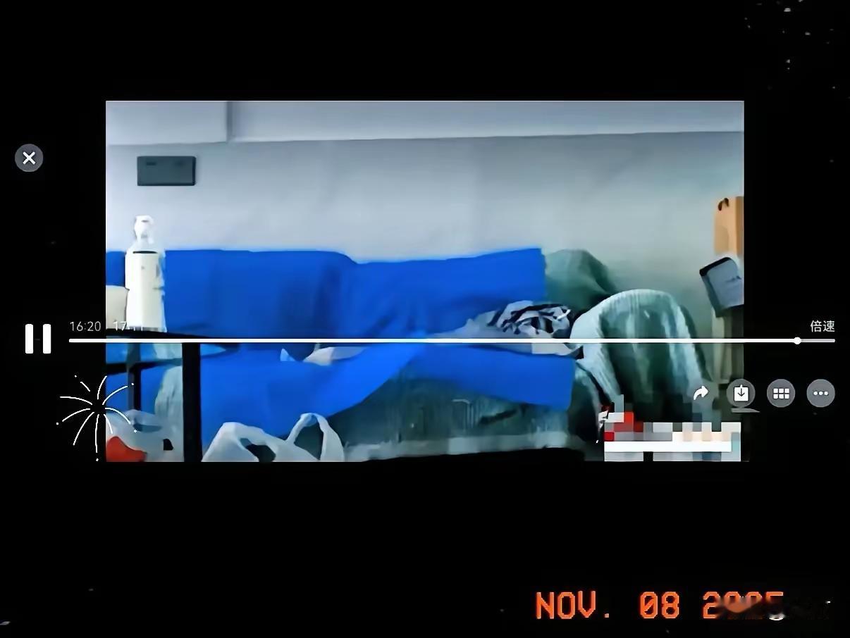 视频都在哪里流传？为什么一下也看不到，只留下几张图片，不知道他们现在的心情