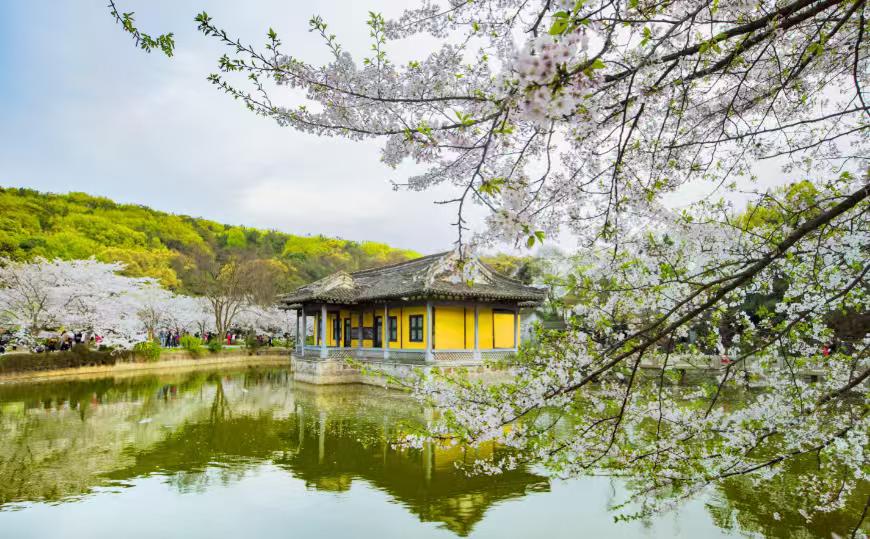 中国春季旅游十大好去处，赴一场限定春日之约春风拂过大地，冰雪消融，草木抽芽，