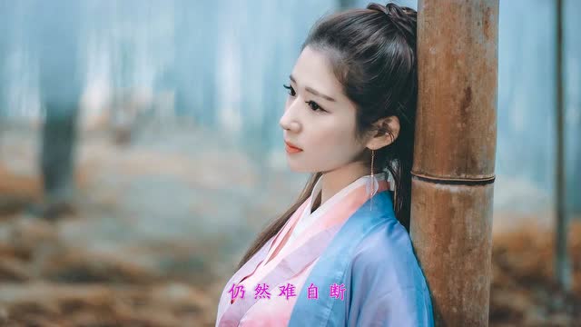 麦子杰@王佩-爱不了 忘不了(97版《雪花神剑》