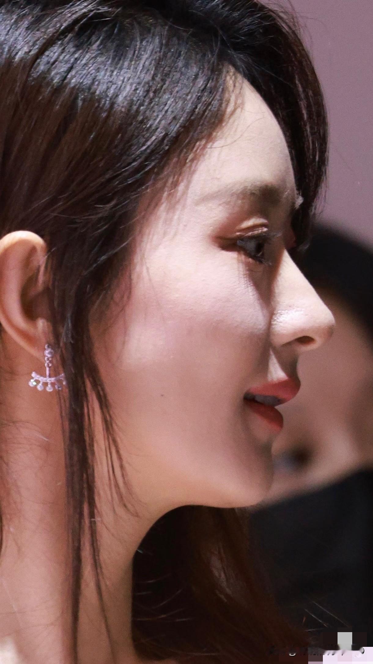 赵丽颖满分的侧颜