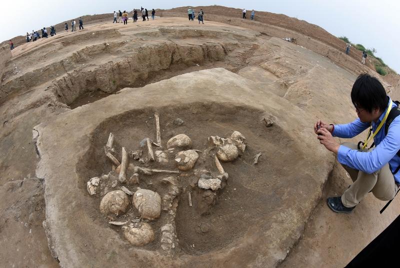 山西考古又有大发现！沁水八里坪遗址今年考古发掘取得重大突破。从2020年起这里开