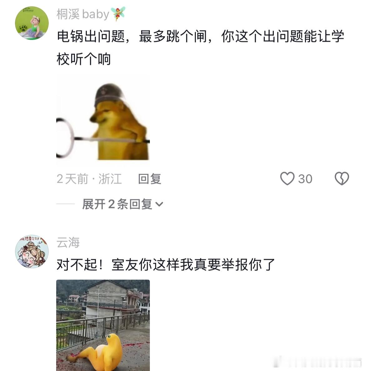 违规使用电器关我煤气罐什么事?🤣👌