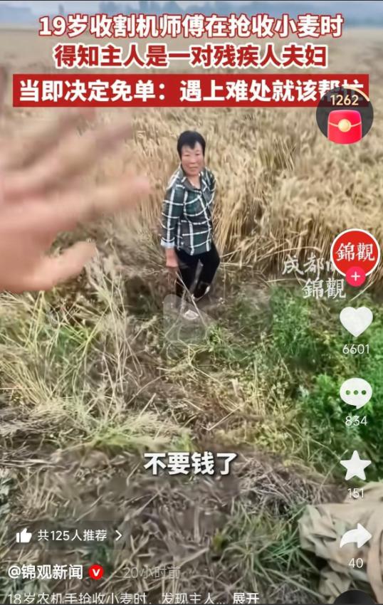 河南南阳，一位来自山东的19岁农机手在作业时，发现麦地女主人全程一言不发，同村大