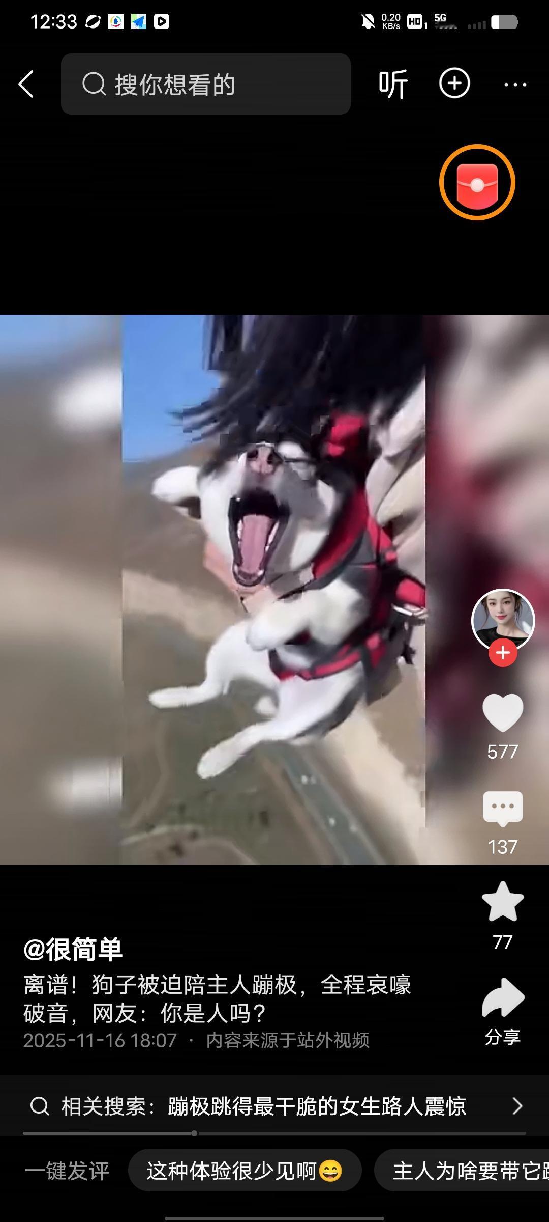 这狗子被迫陪主人蹦极，一路哀嚎破音，那场面，想想都觉得又好笑又心疼。狗子估计心里