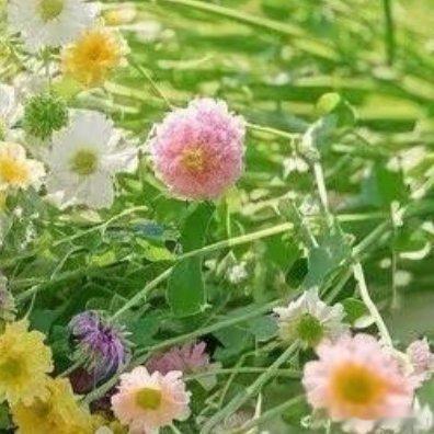 2230人生是一场拼争，每一天都在攀登…爬上了这一座山，越过了那一道岭，眼前又