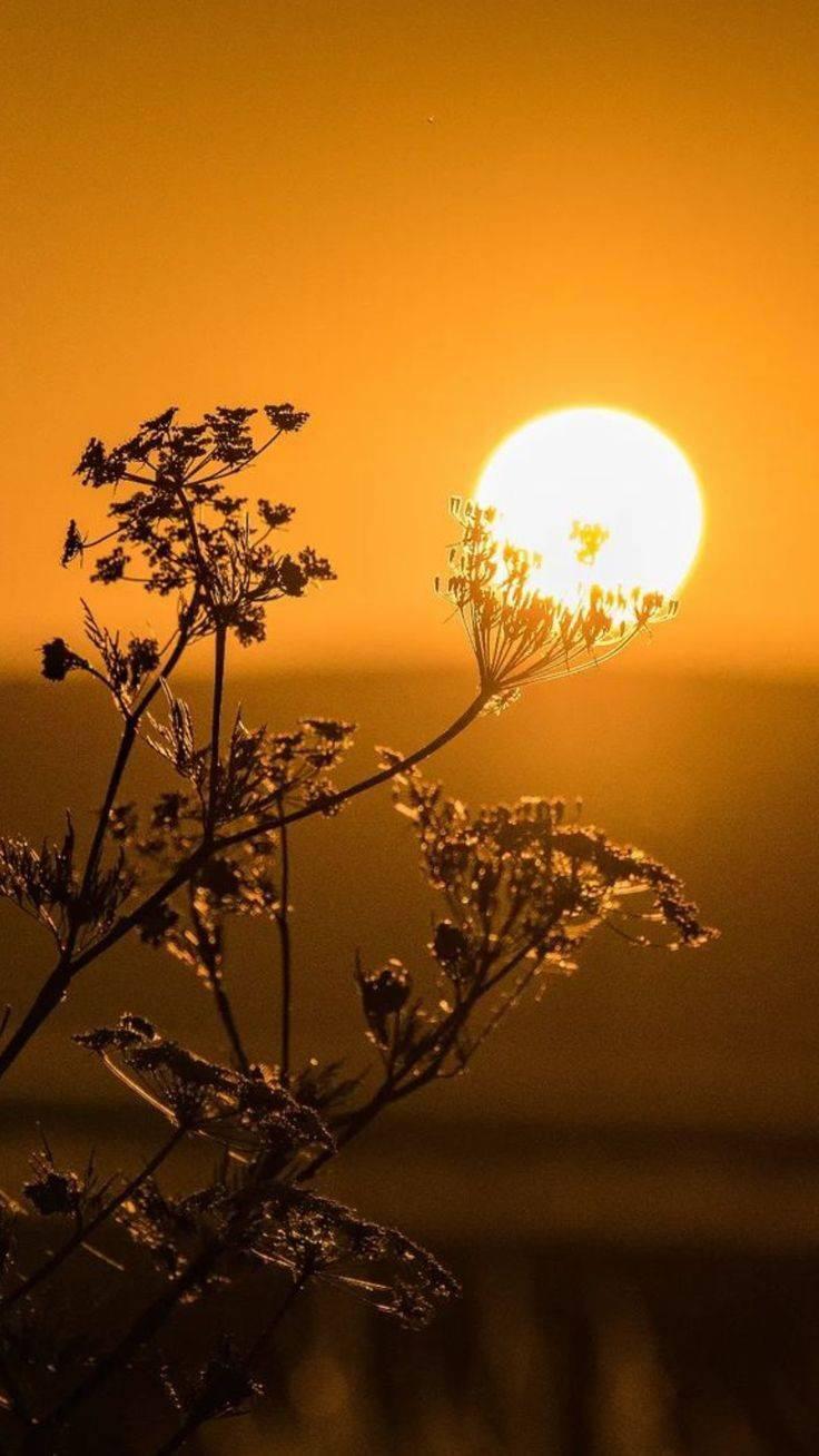 如果考上了编制，所有的压力就会消失吗？网友A：“不会的，到时候你会发现让你辛