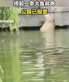这是穷疯了吧！山西太原，龙潭公园，两名男的趴在石头台子上，姿势挺别扭，腰弯着，胳