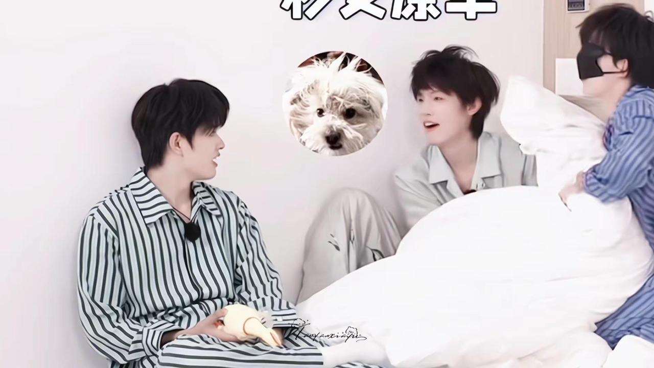 一见钟情的原因...💘。极禹