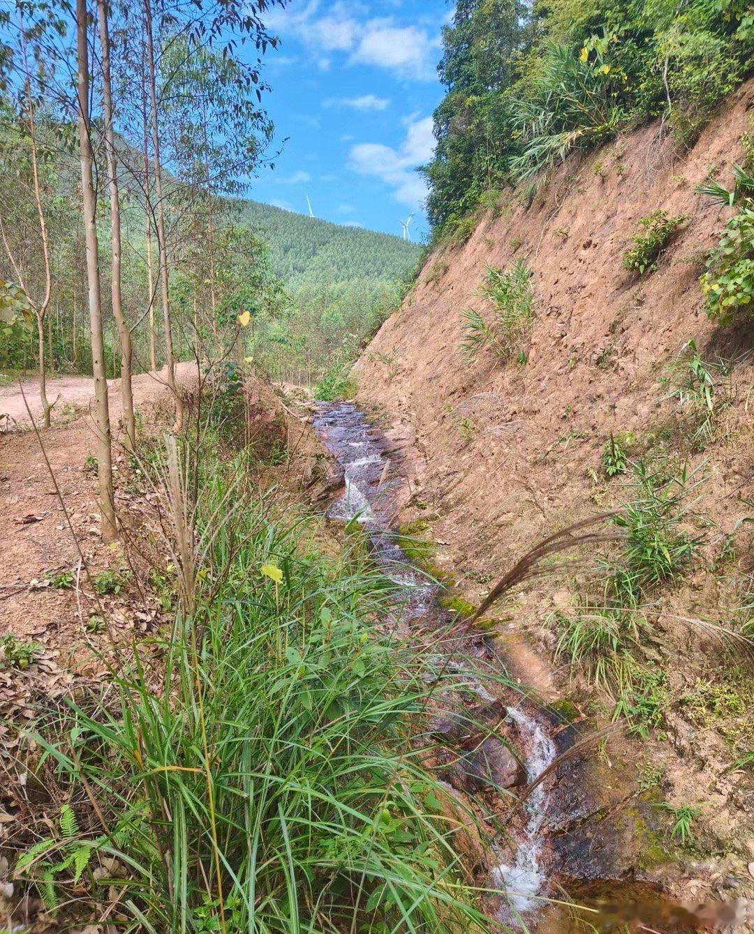 在A股，那七成散户是如何亏掉本金的。历来散户都是后知后觉者，信息的不对称形成了时