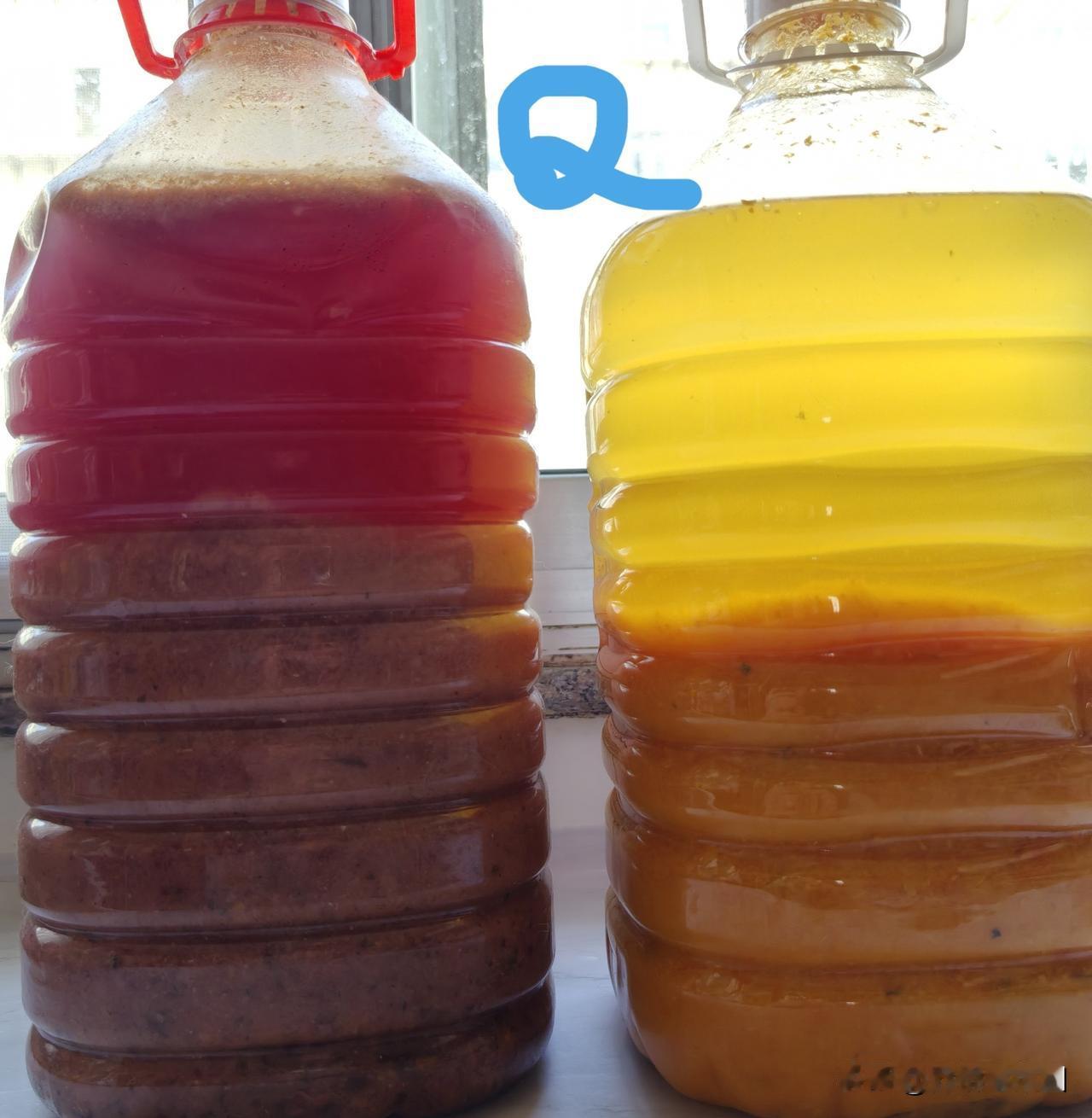 你试过哪些奇葩沤肥材料?用奇葩材料沤肥，我曾写过两篇，其中最奇葩的材料，当数榴莲