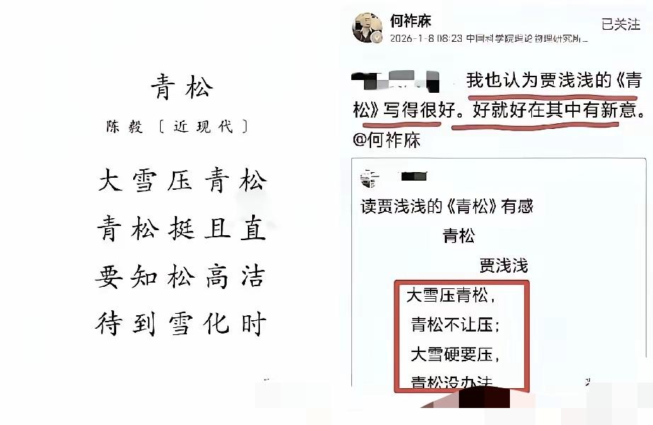 贾浅浅的《青松》诗句获大咖赞赏称“很有新意”，网友随即赋诗一首：祚庥夸浅浅，浅