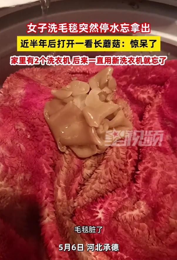 “长这么大第一次见过这种事！”河北承德，女子家中毛毯遗忘在洗衣机里五六个月，最近