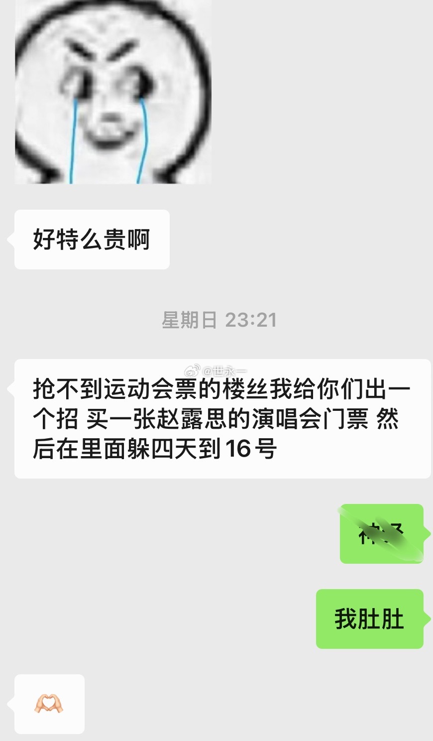 抢不到运动会票的我给你们出一个招买一张赵露思的演唱会门票然后在里面躲四天到1