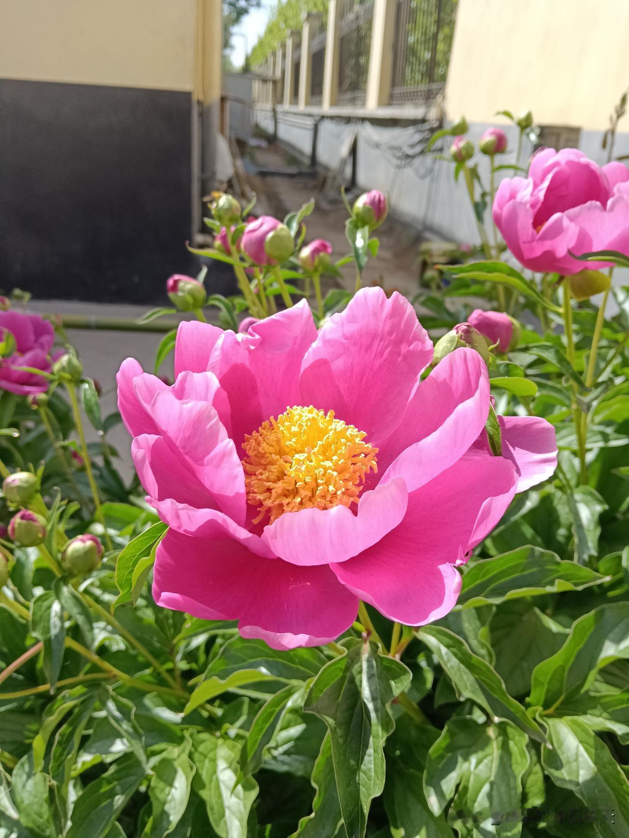 您有没有发现，这些几乎是女人的通病！她独自在家时，洗衣服、打扫卫生干劲十足，嘴