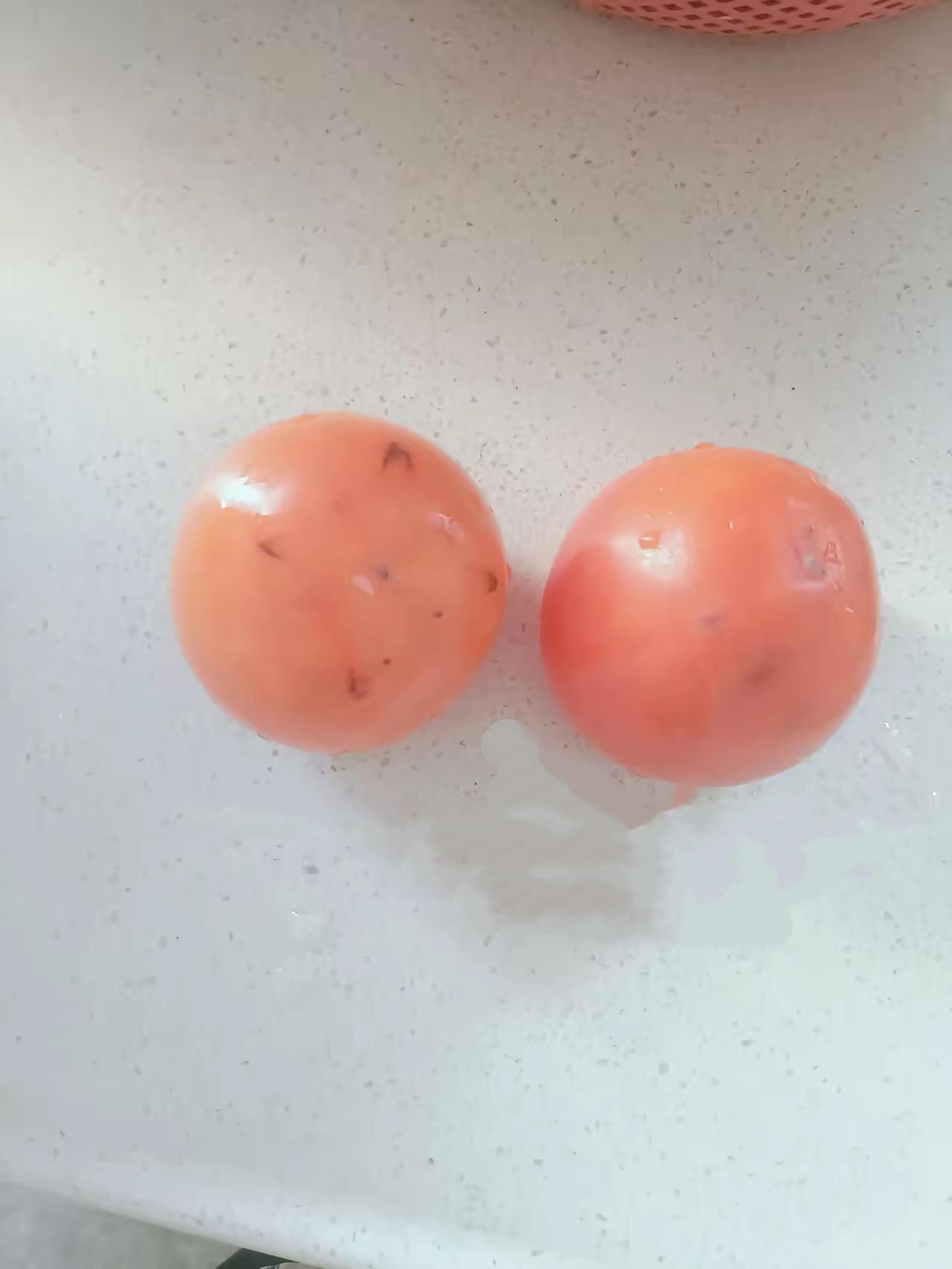 人是怎么废掉的？1.懒2.清高3.爱拖延4.沉迷美色5.没有自控力6