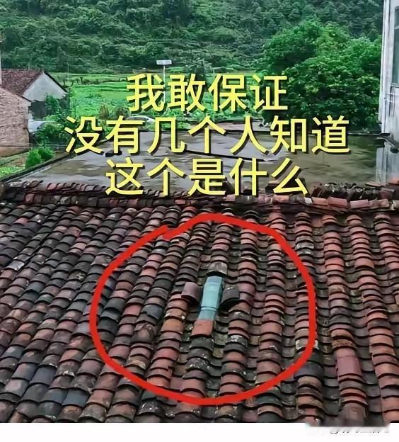 反正我是不知道[捂脸哭]